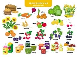 Ура, ми заговорили! Звідки і як? - мініатюра 6