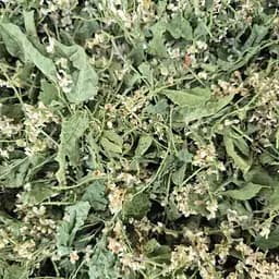 100 г черемуха цвет сушеный - свежий урожай