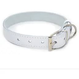 Нашийник для собак Zoo-hunt Весна шкіряний білий 1,6/23-31 см