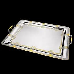 Піднос прямокутний 68х50, 5cm G Анкона NGD68TRAY