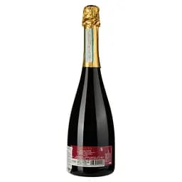 Вино Manfredi Patrizi Suagna Piemonte Brachetto Dolce червоне солодке 0.75 л - мініатюра 2