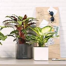 Вазон Lechuza Cube Glossy, 0.7 л, білий (13520) - мініатюра 7
