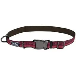 Нашийник для собак Coastal k9 Explorer нейлон 2,5см x 45-65 см (36923_BRY26)