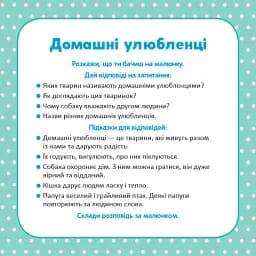 Школа Кенгуру. Розвиток мовлення. Про все навколо! - - мініатюра 3