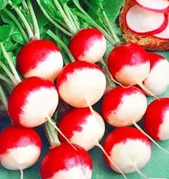 Семена Весна на развес Редис Румянец цена за 10 г (178519)