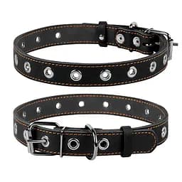 Ошейник "CoLLaR" безразмерный (ширина 25мм длина 60см) черный