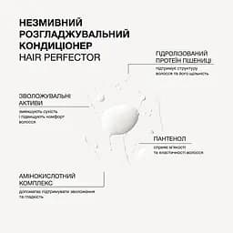 Незмивний розгладжувальний кондиціонер Hair Perfector Triology - мініатюра 3
