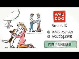 Шлея для собак анатомічна H-подібна Waudog Nylon з QR-паспортом Флеш Лого р.L (345-1083) - мініатюра 9