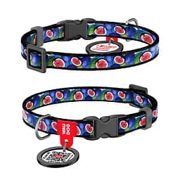 Нашийник для котів та дрібних порід собак нейлоновий Waudog Nylon з QR-паспортом "Інжир" пластиковий фастекс XS Ш 10