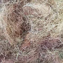 Кукурузные рыльца сушеные - свежий урожай 100 г