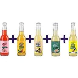 Набор: Комбуча Wild Kombucha Малина 330 мл + Комбуча Wild Kombucha Ройбуш кофе 330 мл + Комбуча Wild Kombucha Цитрус 330 мл + Комбуча Wild Kombucha Зеленый чай 330 мл + Комбуча Wild Kombucha Классическая 330 мл