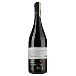 Вино L'Acino Toccomagliocco 2016 червоне сухе 0.75 л - мініатюра 2
