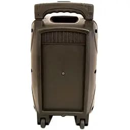 Акустична система XPRO 895 з мікрофоном (MER-15704_2772) - мініатюра 7