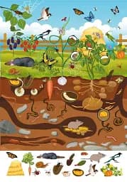 Книга-картонка Великий віммельбух. Мікросвіт - мініатюра 4