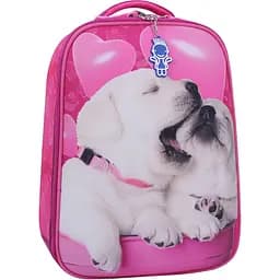 Рюкзак Bagland Turtle 17 л малиновый 593 (0013470)