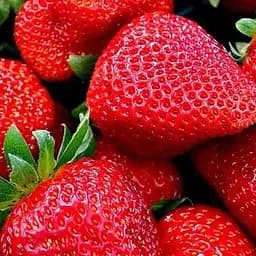 Саженец Agro-Market Клубника Гармония (Harmony) (ранний, ремонтантный, крупноплодный сорт) 5 шт. в упаковке (52799)