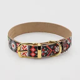 Ошейник для собак Hidog 204-1034 L (38-49 см) (2100103519015)(SN)