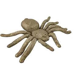 Паук блестящий