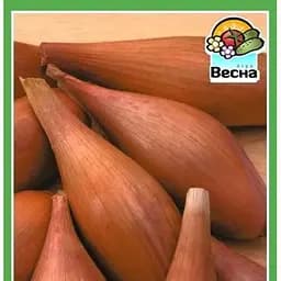 Насіння Весна Цибуля Любчик 1 г (18692)