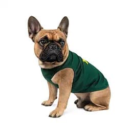 Комбінезон Pet Fashion Sun Please для собак, розмір S2, зелений - мініатюра 2