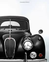 Black Beauties: Iconic Cars - мініатюра 7