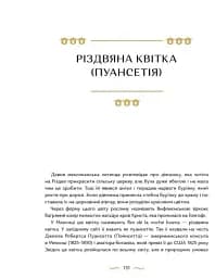 Різдвяна Книжка. Преміум - мініатюра 5