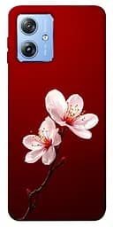 Чохол Demsky Sakura red для Motorola Moto G84