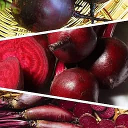 Буряк столовий "Суміш кращих популярних сортів" ТМ "Весна"  15г (45535)