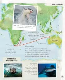 Amazing Animal Journeys - мініатюра 5