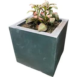 Вазон з бетону Grilli для рослин темний 28х28х28 см