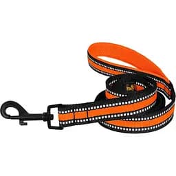 Поводок для собак BronzeDog Mesh, размер L, 200х2,5 см, оранжевый