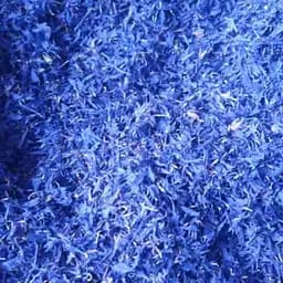 100 г волошка синя пелюстки сушені  - свіжий урожай