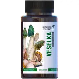 Біологічно активна добавка ФітоБіоТехнології Гриб Веселка 120 капсул