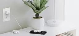 Belkin Зарядний пристрій мережевий 30Вт USB-С PD PPS, кабель USB-С > USB-C, 1 м, PVC, білий - мініатюра 2