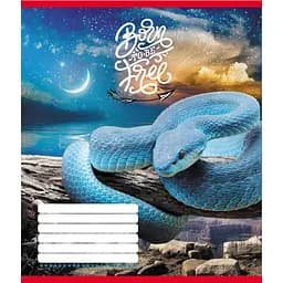 Зошит учнівський "Тварини" 018-530247K-5 в клітинку, 18 аркушів