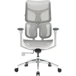Офисное кресло Sihoo Doro S100 Mesh White (S100-M302)