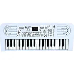 Синтезатор TX-379-B-F-H-04 37 клавіш 43x17 см мікрофон запис музика звуки тварин регулятор гучності