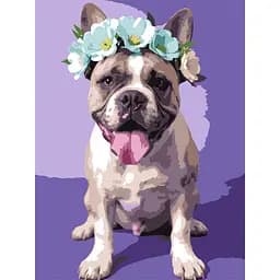 Картина по номерам Strateg Пес в веночке 30х40 см (SS-1283)