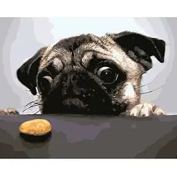 Картина по номерам. Недостижимая печенька 40х50 см 11601-AC