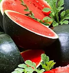 Насіння Весна Кавун Шуга Бебі зіпер 4 г (183084)