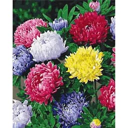 Картина по номерам Brushme Разноцветные астры 40x50 см