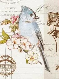 Альбом UFO 20sheet Bird 22х32см (20sheet S22x32 Bird)