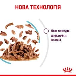 Вологий корм для дорослих котів Royal Canin Sensory Feel Gravy шматочки в соусі 1.02 кг (12 шт. х 85 г) - мініатюра 4