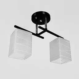 Прямокутний плафонний світильник на 2 лампи в чорному корпусі 34х15 см | Арт. 6944/2 BK+CH | Line F