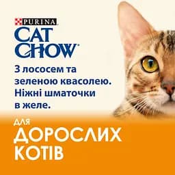 Набір вологого корму для дорослих котів Purina Cat Chow Adult з лососем і зеленою квасолею 85 г х 10 шт. - мініатюра 4
