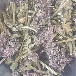 100 г буквиця лікарська трава сушена - свіжий урожай