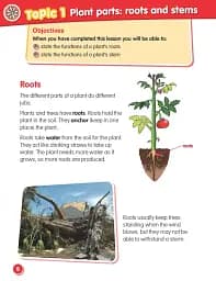 Macmillan Science. Level 3. Student's Book & eBook - мініатюра 2
