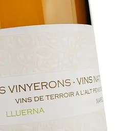 Вино Els Vinyerons Lluerna біле сухе 0.75 л - мініатюра 3