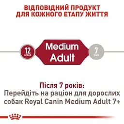 Сухий корм для дорослих собак середніх порід Royal Canin Medium Adult, 10 кг (3004010) - мініатюра 7