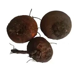 100 г цикламен/альпийская фиалка/дряква клубень свежий - свежий урожай